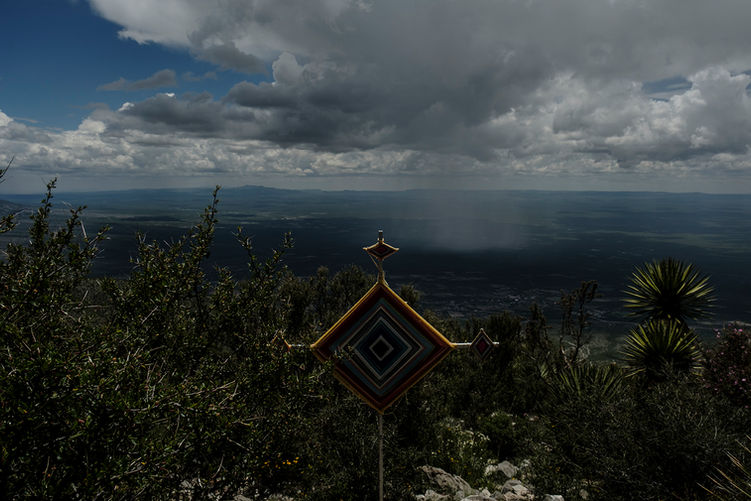 DSCF2113.jpg