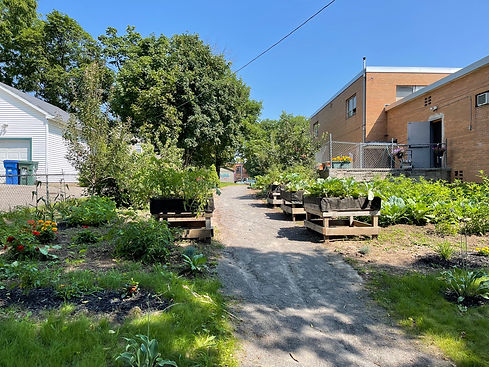 garden full.jpg