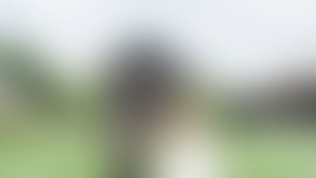 Lindsay + Bobby, Jorgensen Farms Oak Grove Greenhouse, Kismet Visuals, White Bridal Boutique, Ohio