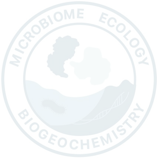 Imagem WhatsApp 2025-07-18 às 08_edited_