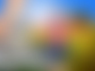 Erfrischung im Sommer: Wieso Tee bei heißem Wetter?