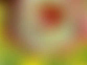 Kräutertee selber machen – Der große Einsteiger-Ratgeber für deinen ersten eigenen Tee