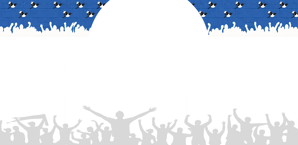 Screenshot 2026-02-11 at 17.22.50.png