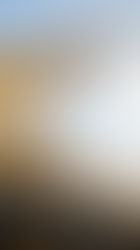 Mobile Cranes Are Now Doing What Tower Cranes Never Could