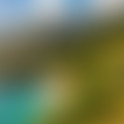 Why a Norfolk Island Tour Should Be on Your Travel List