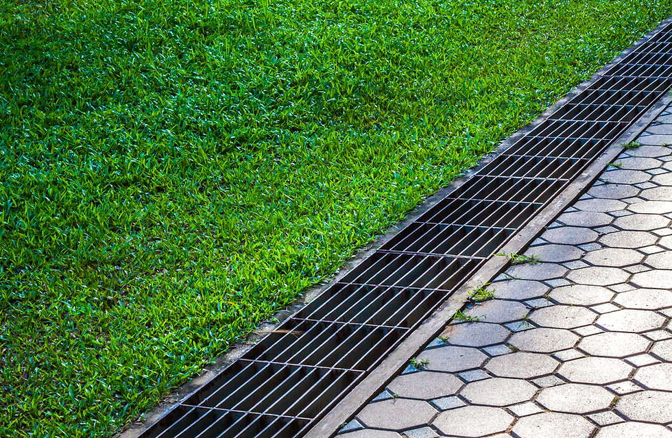 Drain Grates