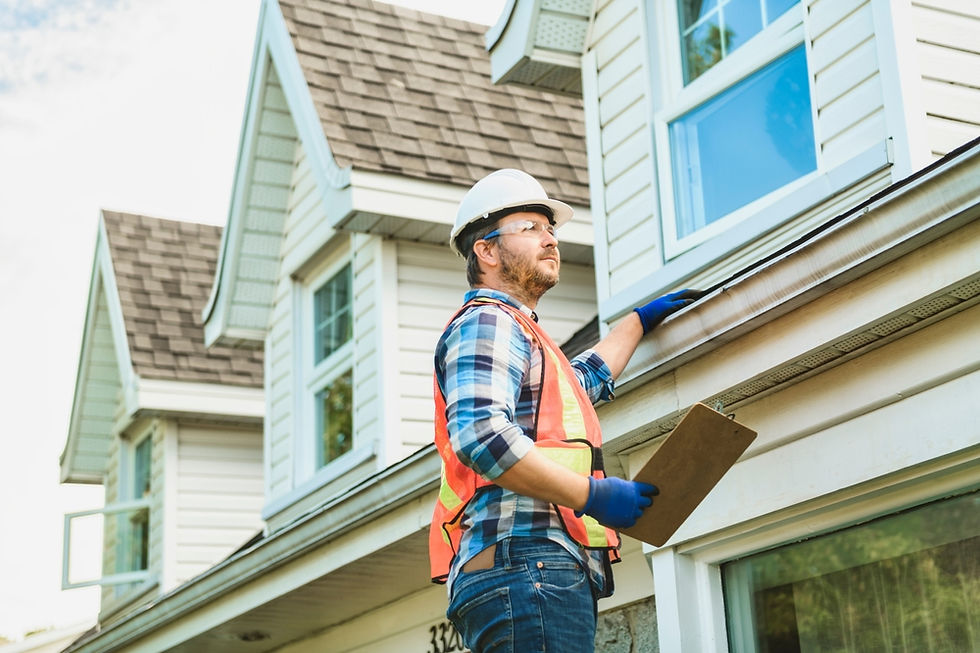 Building and Pest Inspection