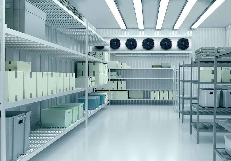 Cold Storage Room Manufacturers Work As Per Client’s Requirements