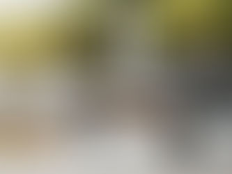 Induction Cooktop for Sale Designed for Modern Home Cooking