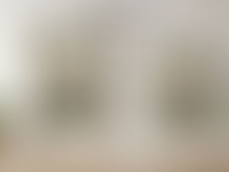 Print Canvas Online and Elevate Your Living Space