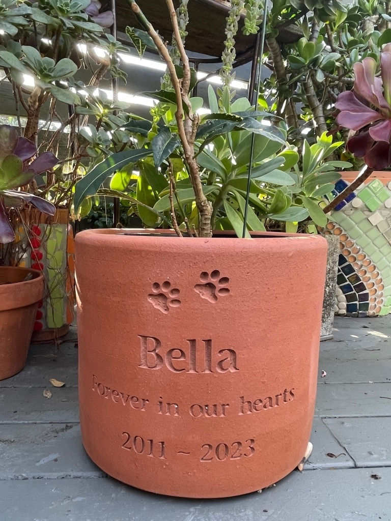 Pot Plant Terracotta
