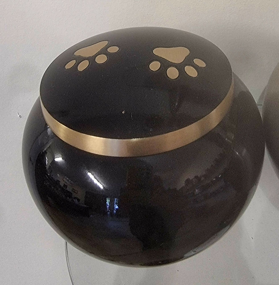 Odyssey Paw Print Urn