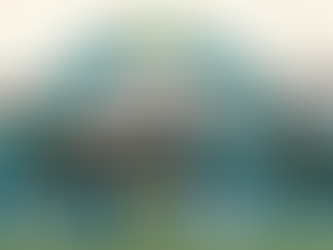 Pak win 1st ODI series in Australia since 2002Pacers shine in 8-wicket win over hosts in third ODI