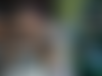 NZ Vs Pak 2nd T20I: NZ Win By Five Wickets, Take 2-0 Lead In 5-Match Series