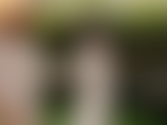 Telugu actor Akhil Akkineni and Zainab Ravdjee's wedding date, venue out