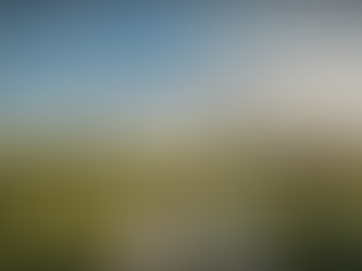 AP Chief Secretary wants work on Bhogapuram airport speeded up