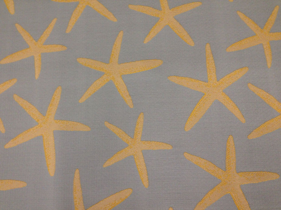 Blue Sea Starfish