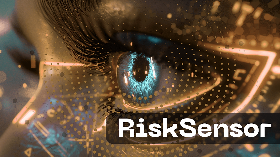 RiskSensor (1).png