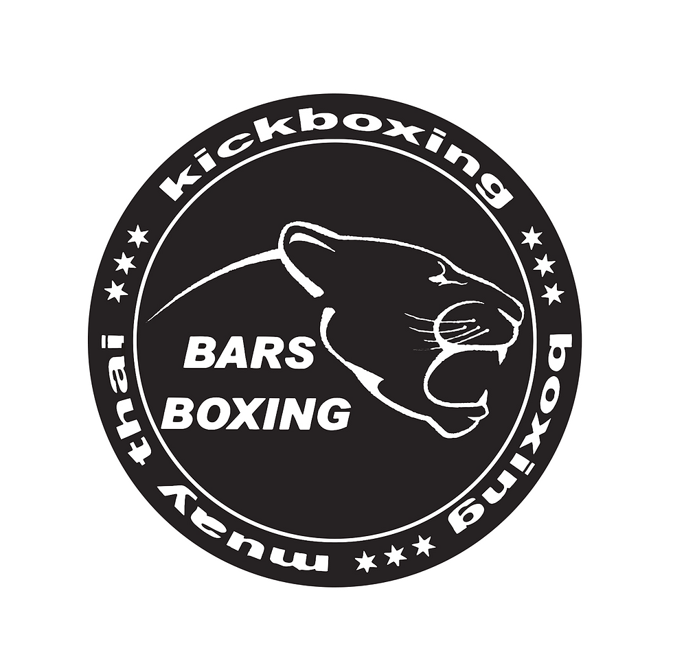 logo bars boxing.png