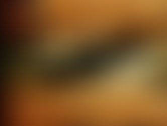 SAFE HOUSE WINS AT THE COURIER AWARDS