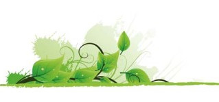 Consumo y Medio Ambiente