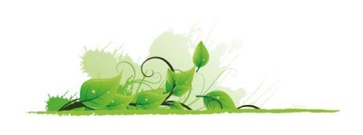Consumo y Medio Ambiente