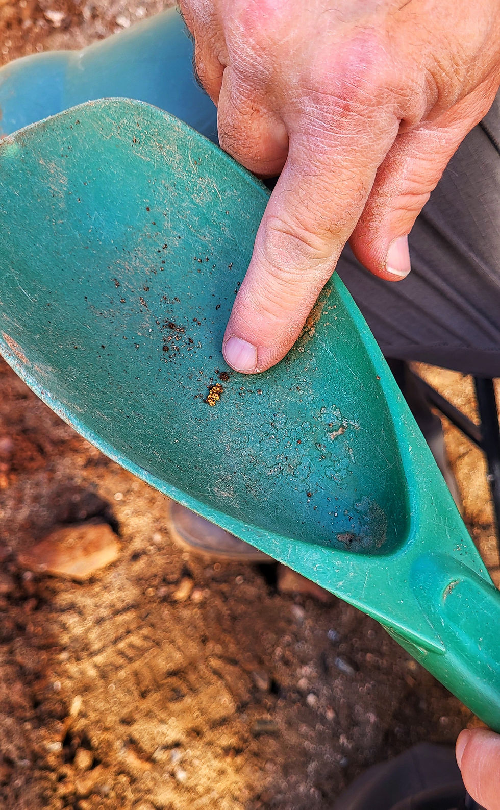 Kleines Goldnugget aus USA