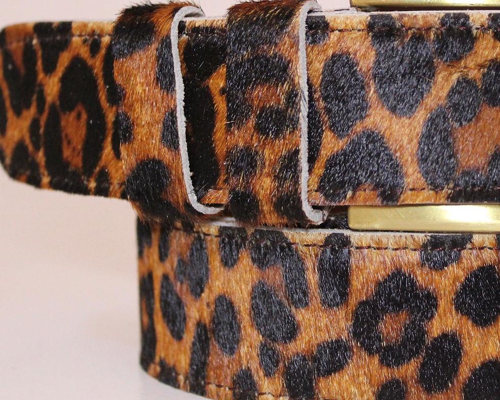 Thumbnail: The Kitty Belt 