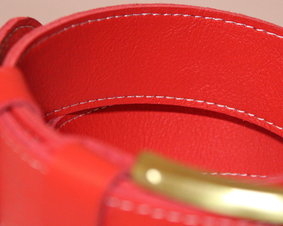 Thumbnail: The Emilia Belt