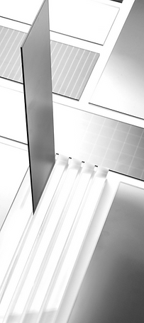 Graphic Shapes _edited.png