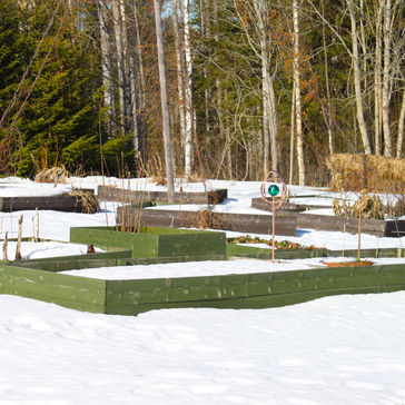 Köksodling, vintersådd och rankspenat