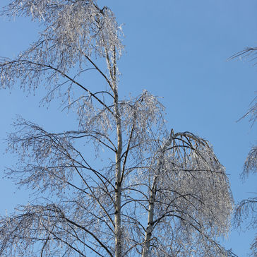 Naturfenomen och allt det fantastiska