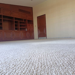 IMG20230130133503.jpg