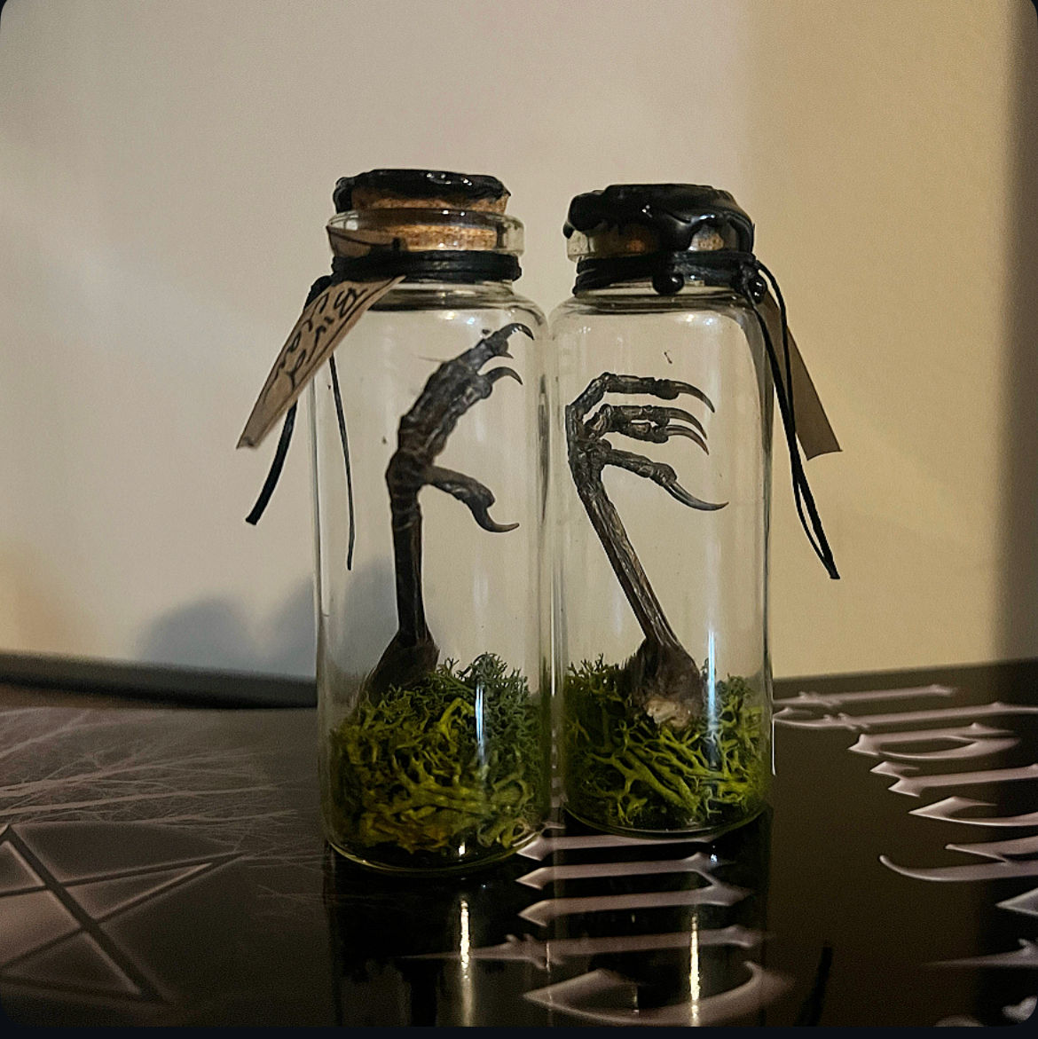 Blackbird Foot & Moss