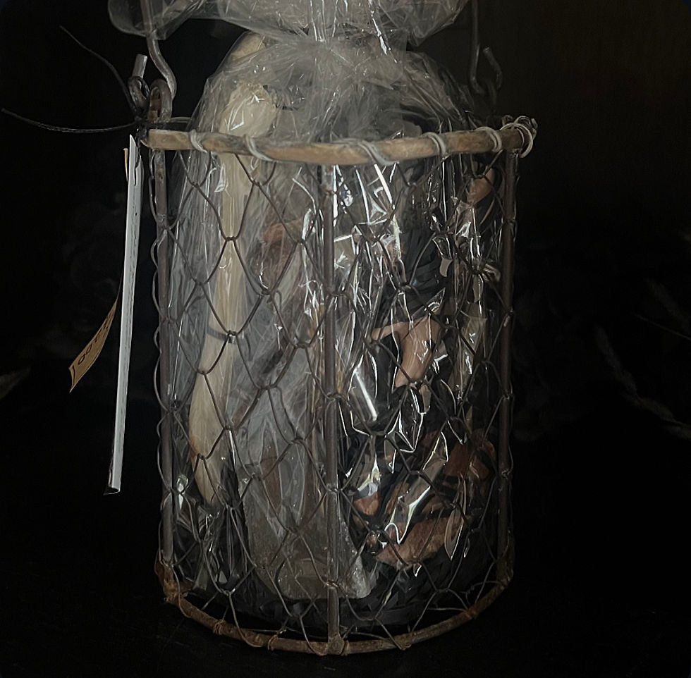 Thumbnail: Oddities & Curiosities Large Basket Surprise