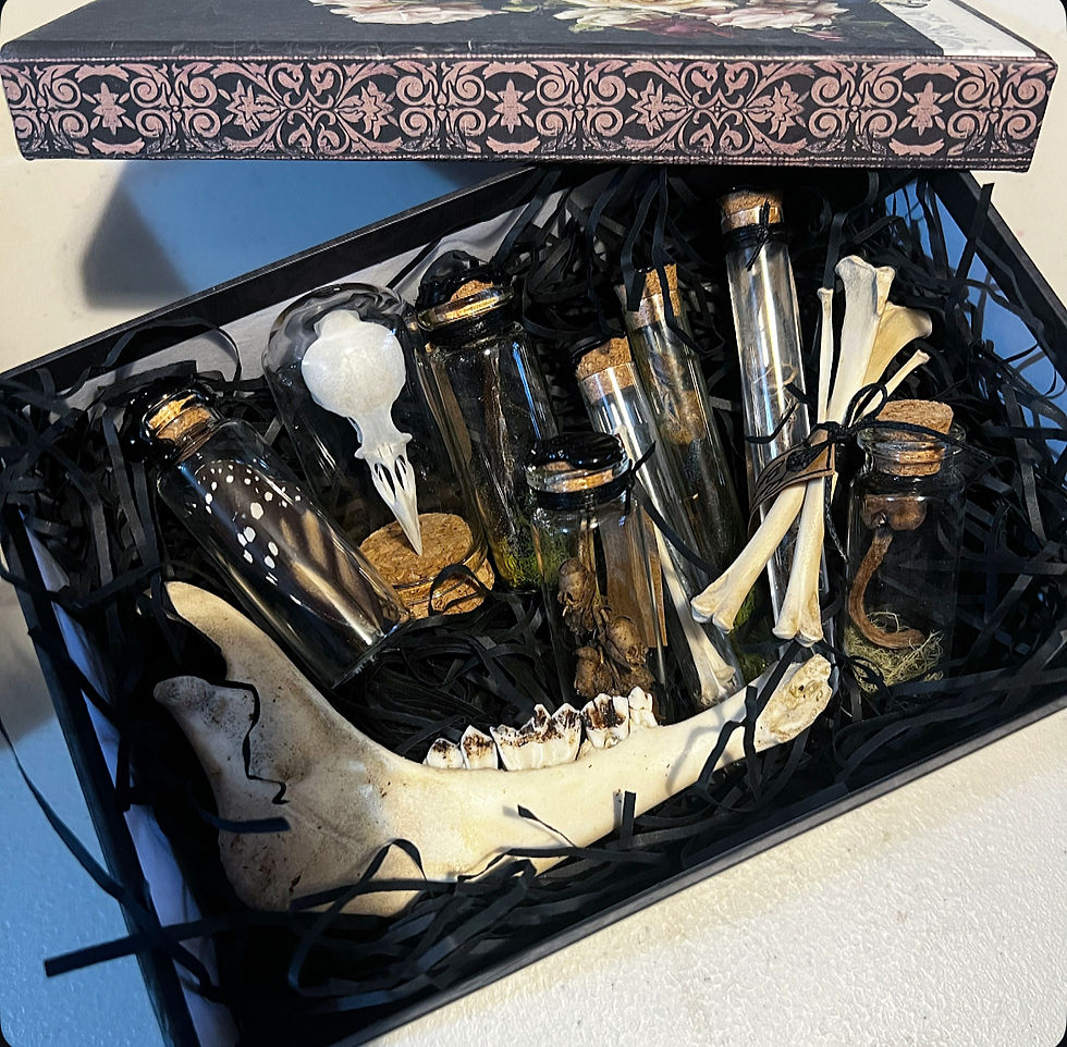 Oddities & Curiosities Giftbox