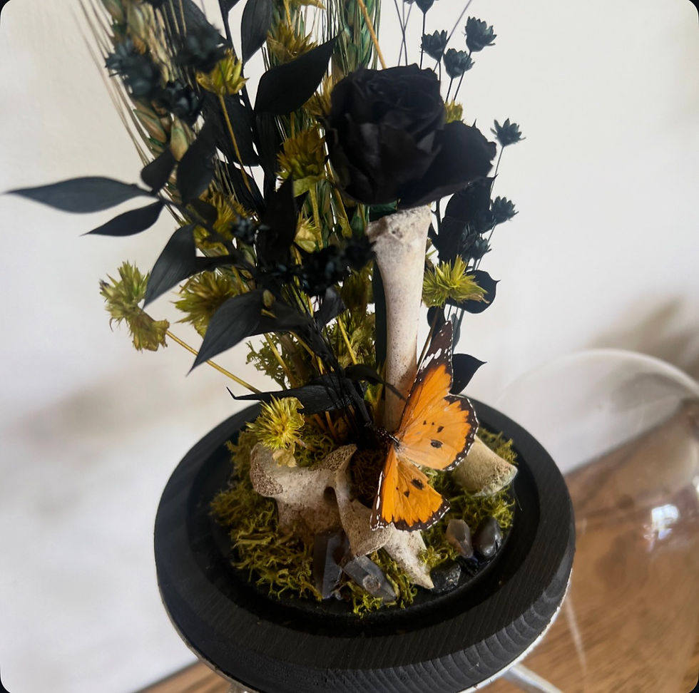 Thumbnail: Black Rose, Butterfly & Bones Glass Dome Art