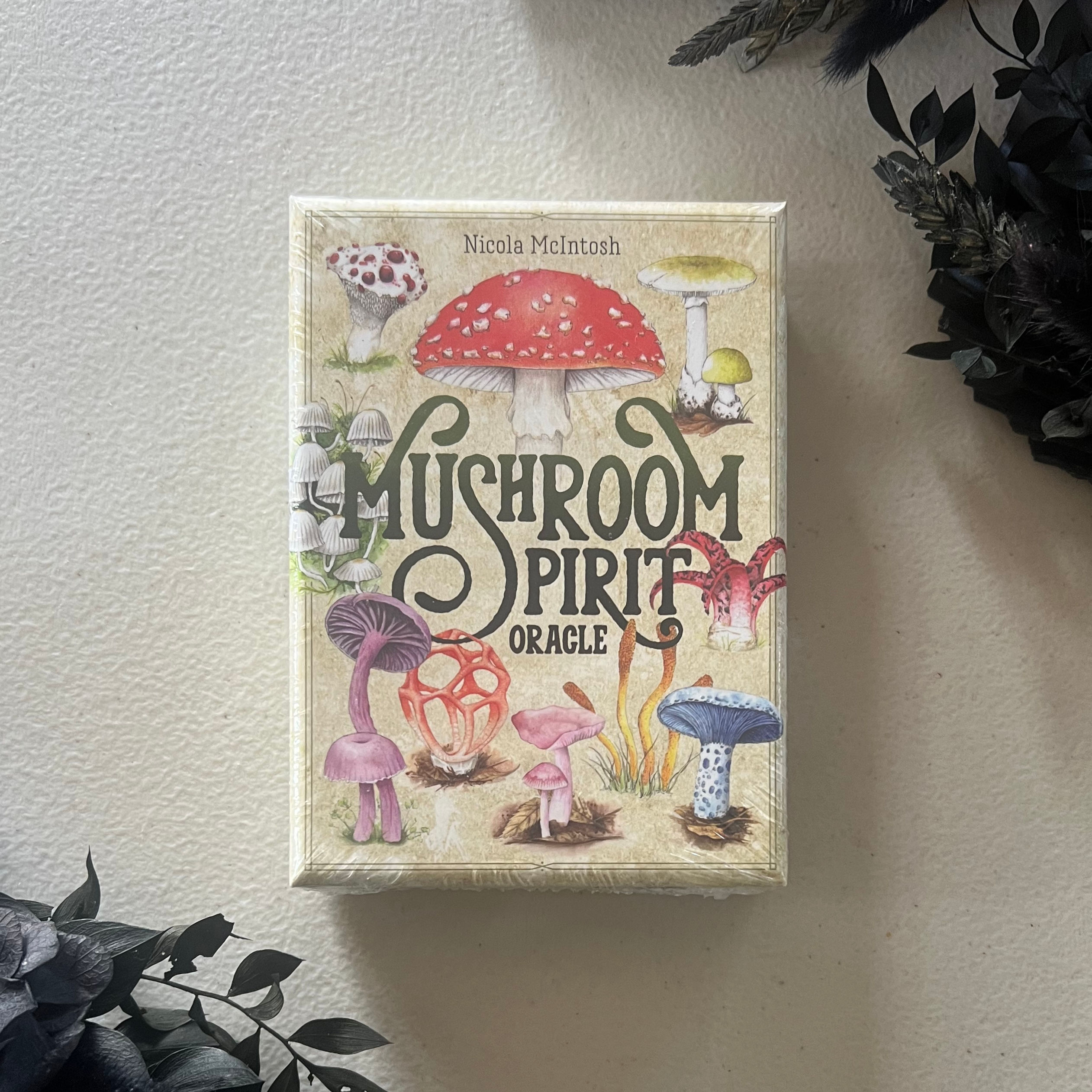 Mushroom Spirit Oracle ~ By Nicola McIntosh