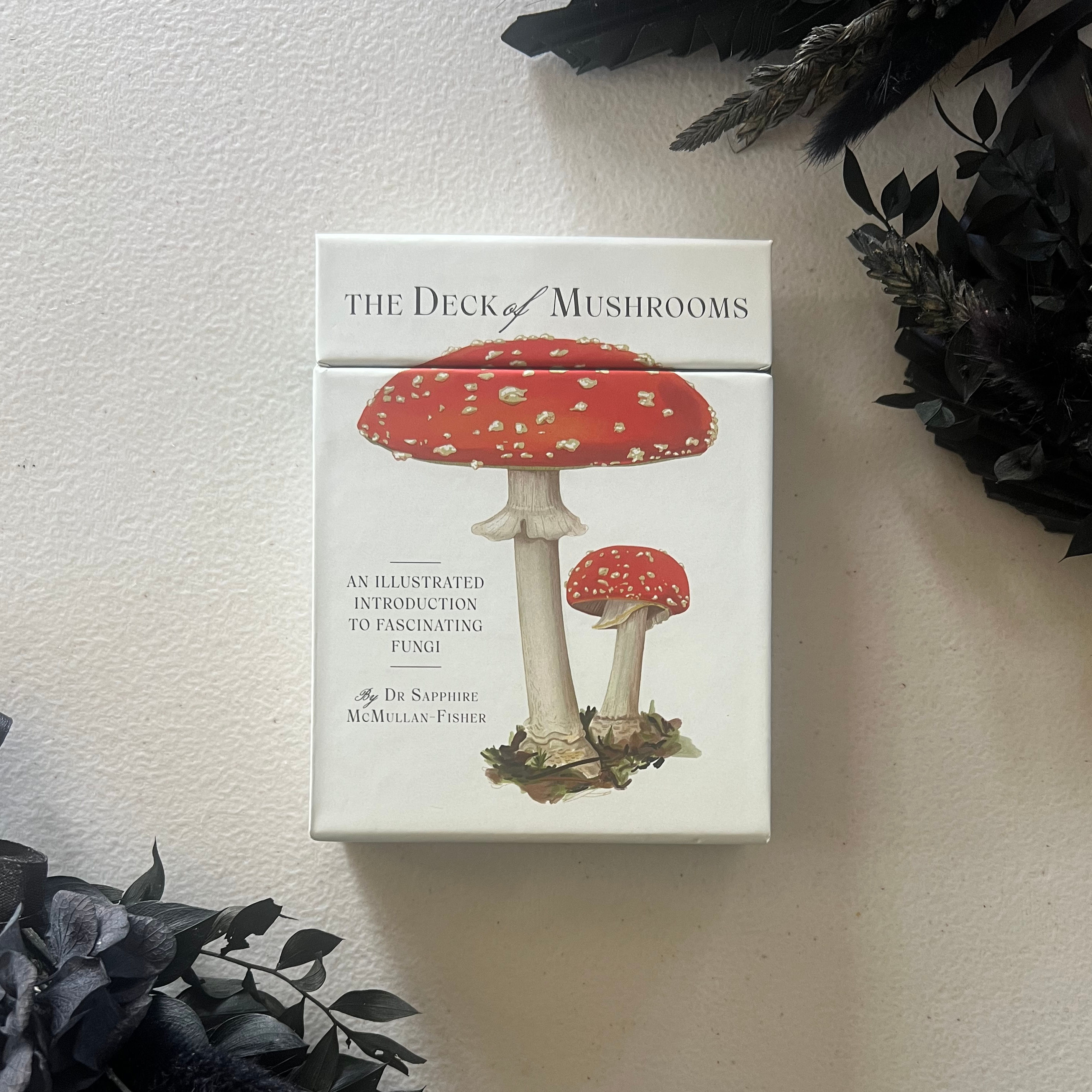 The Deck of Mushrooms ~ Illustrated Fungi Information Cards