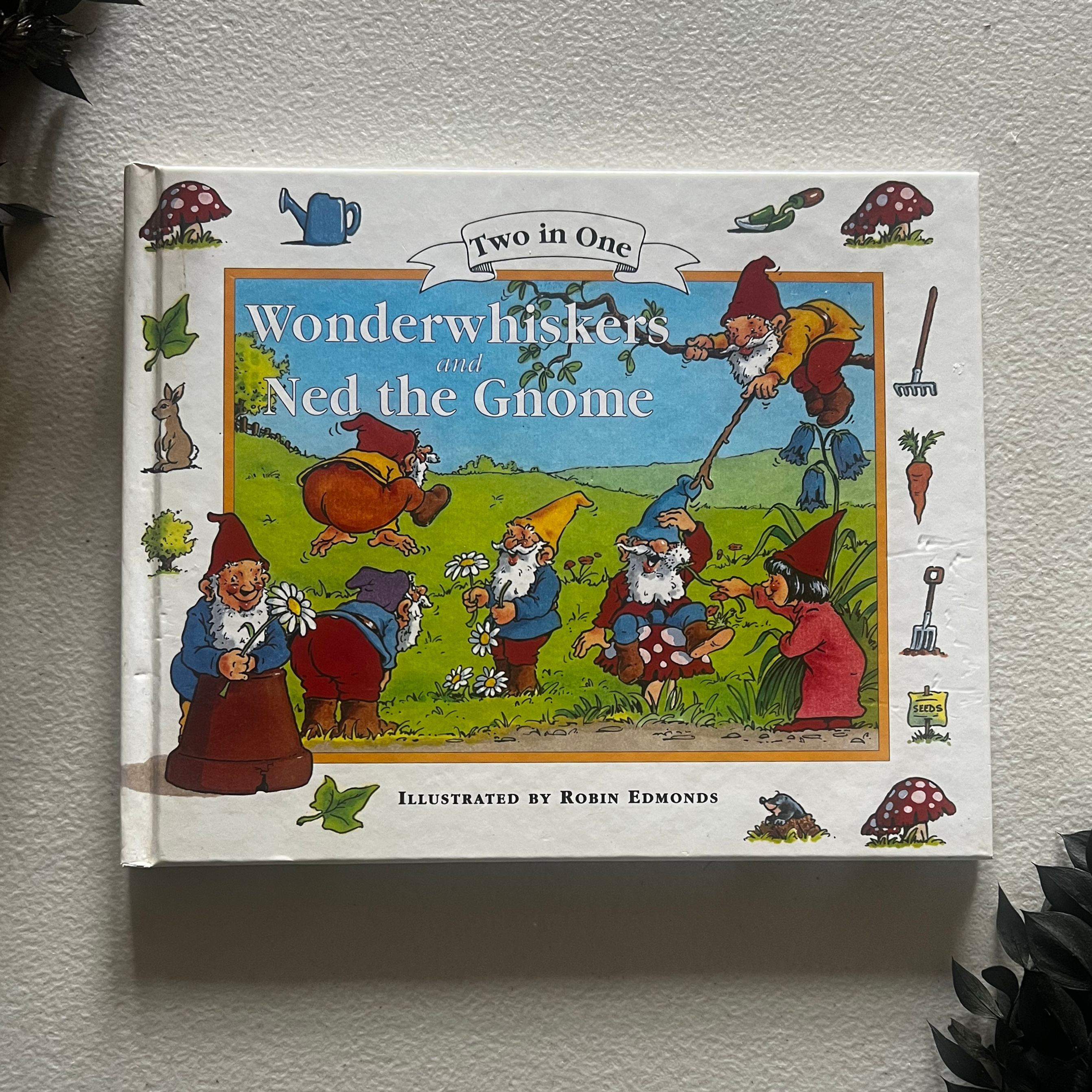 Wonder Whiskers & Ned the Gnome