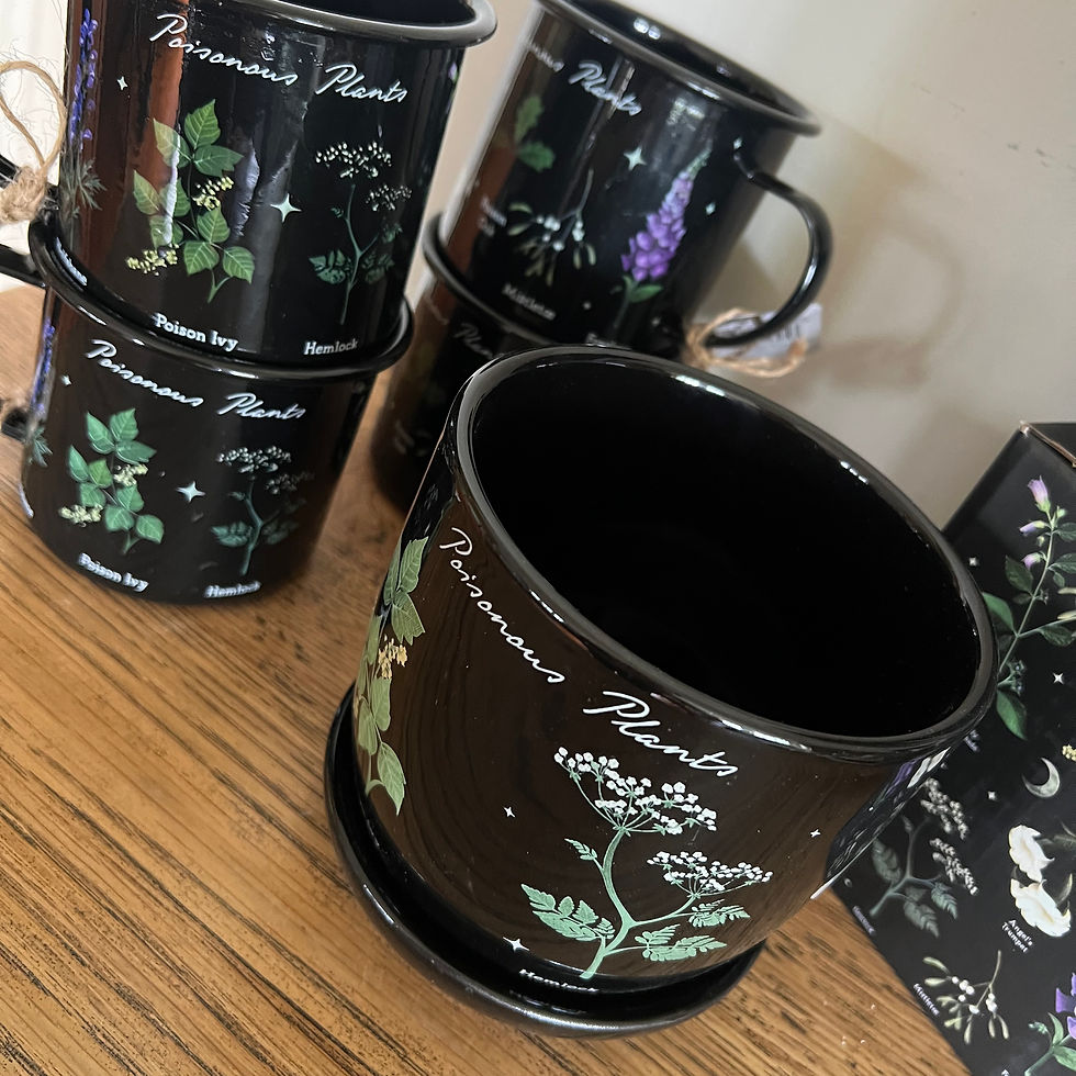 Thumbnail: Pot Plant ~ Poisonous Plants 