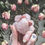 Thumbnail: Rose Quartz Natural ~ Unconditional Love / Emotional Healing / Grief