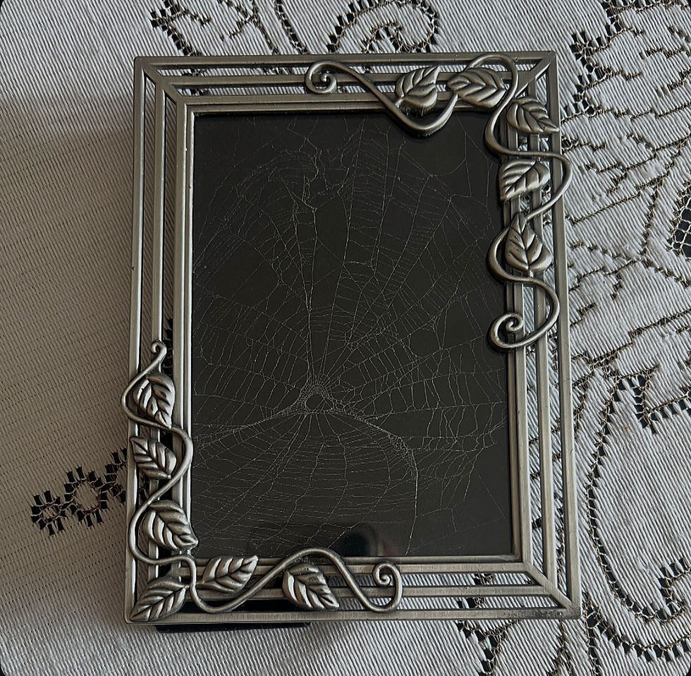 Thumbnail: Real Spiderweb in Frame