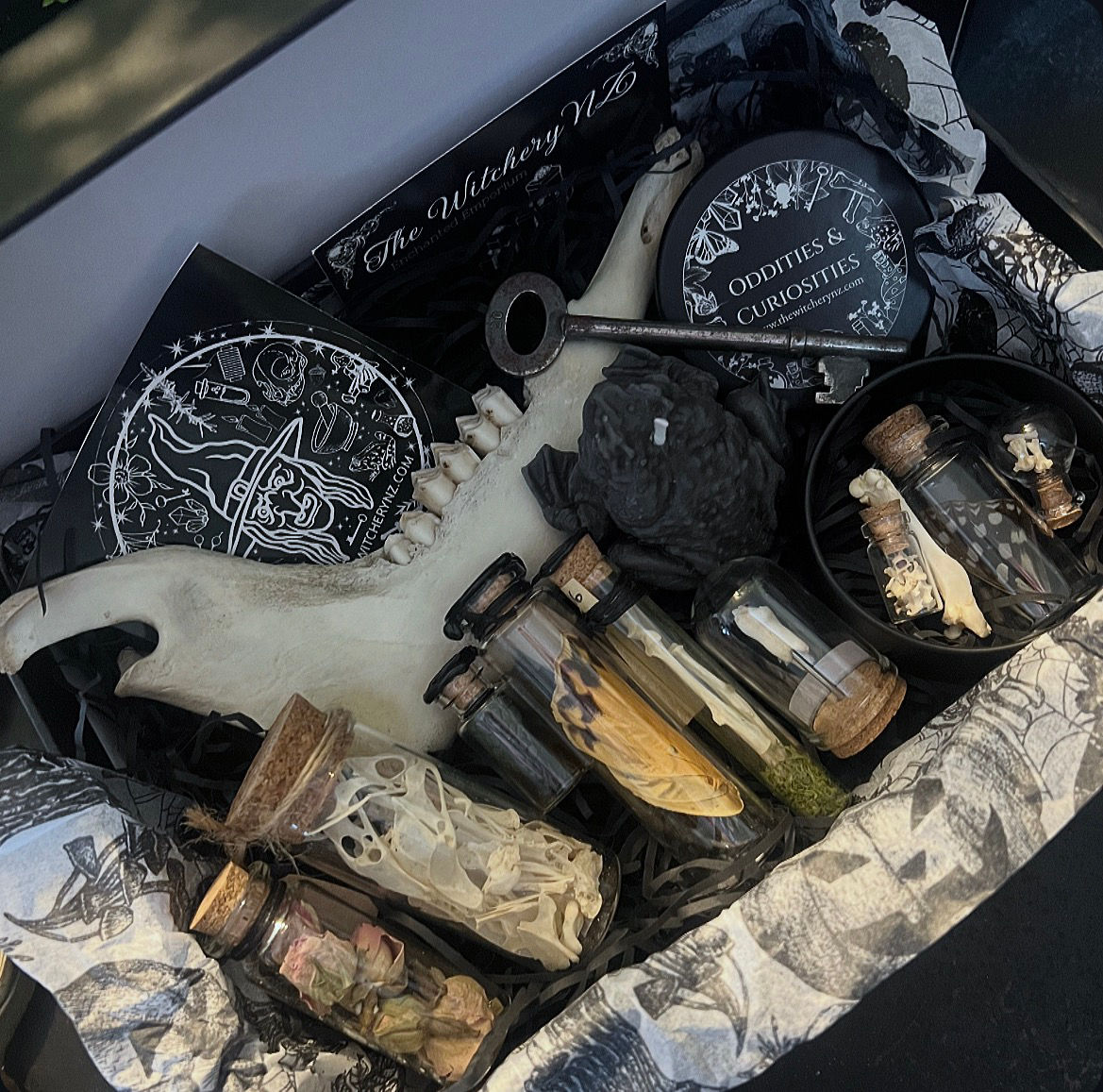 Oddities & Curiosities Gift Box
