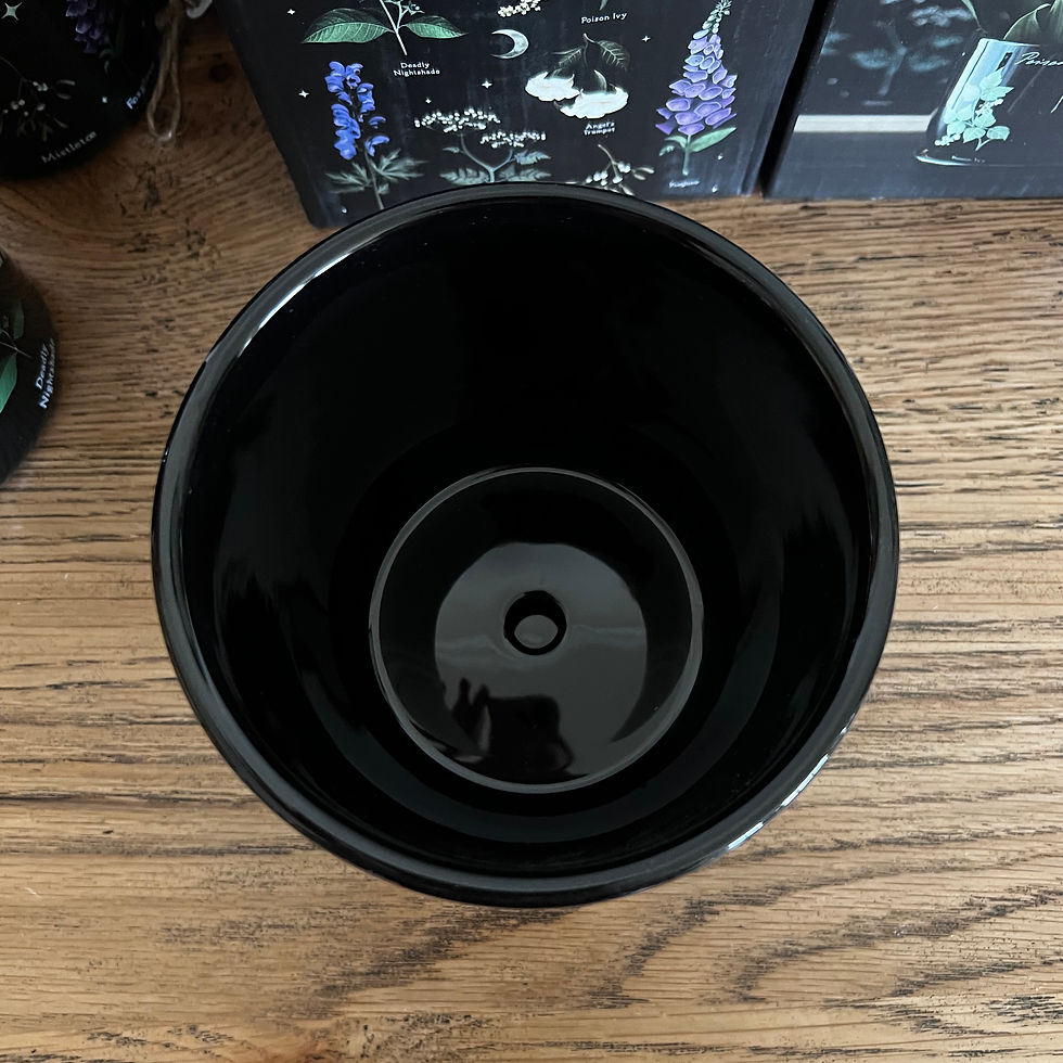 Thumbnail: Pot Plant ~ Poisonous Plants 