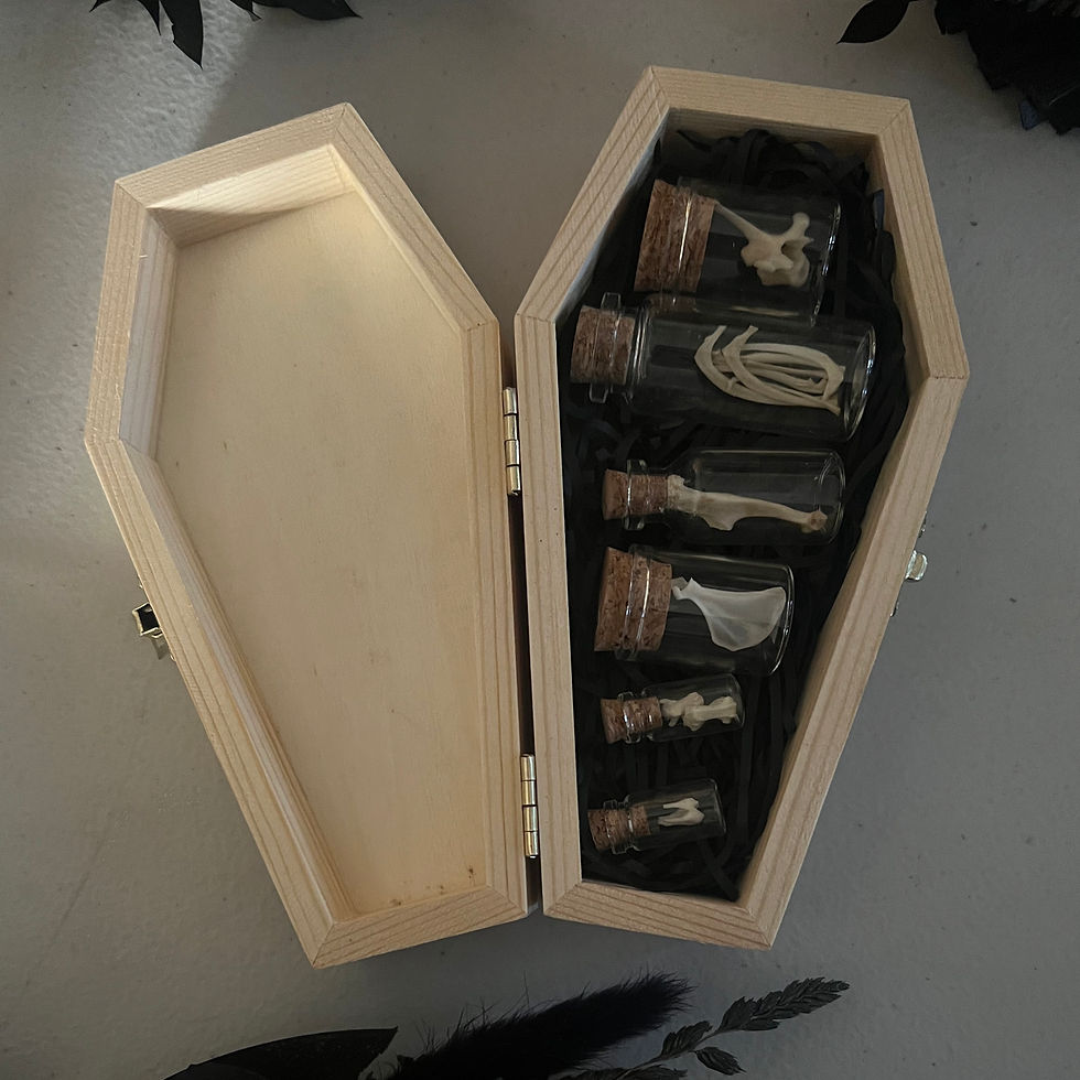 Thumbnail: Oddities & Curiosities ~ Coffin & Bones