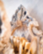 Thumbnail: King Rabbit Wall Trophy
