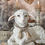 Thumbnail: The Lamb in Repose