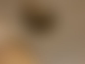 ポメラニアンのいる暮らし
