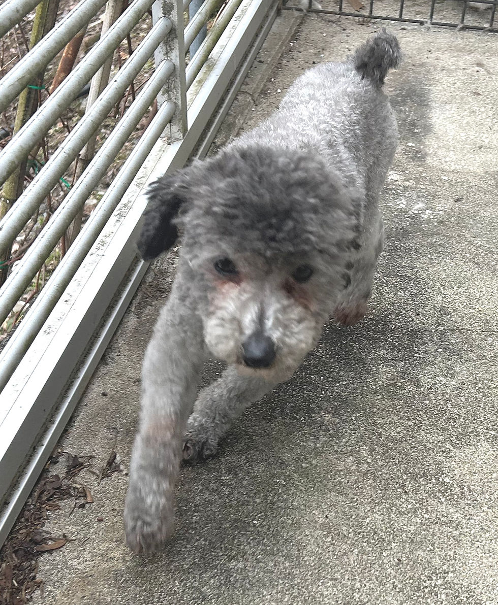 秋神荘　メンバー紹介